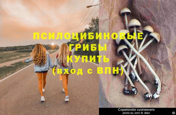 гидропоника Балабаново