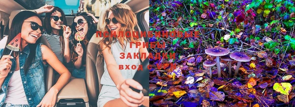 гидропоника Балабаново